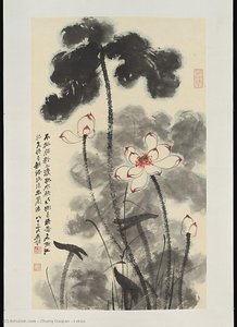 Lotus — Zhang Daqian