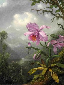 Hummingbird Perched On An Orchid Plant — Martin Johnson Heade