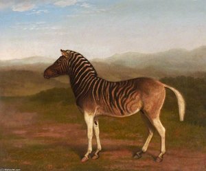 Male Quagga From Africa, The First Sire — Jacques Laurent Agasse