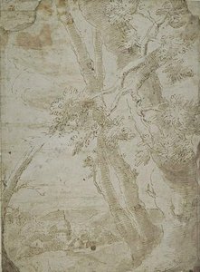 Town In A Wooded Bowl, Visible Between The Trees — Salvador Rosa