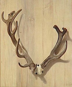 Bois de cerf attaqué à la Haute Queue, le 5 Juillet 1764, à Compiègne