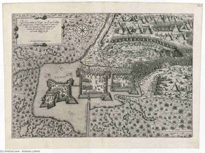 The real portrait de Zighet with its castle