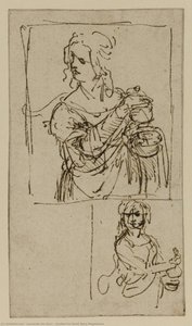 Studies For Saint Mary Magdalene — Leonardo Da Vinči, Mannerism