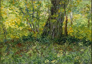 Unterholz 2 — Vincent Willem Van Gogh, Post-impressionismus