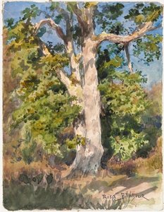 Tree Study — Rosa Bonheur