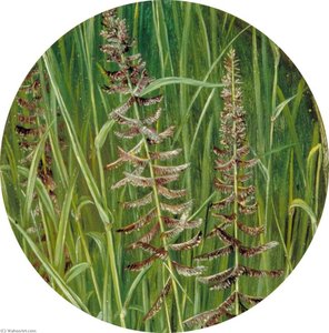 Ein Heiliges Gras — Marianne North