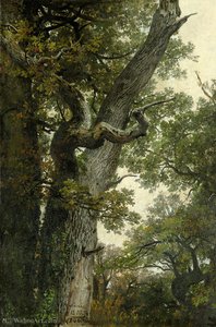 Knorrige Eiche Bei Namur — Anton Von Werner