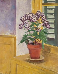 Cineraria — Augustus Edwin John