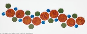 Cells In Petri Dishes — Aisha Cahn