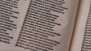 Latin-Spanish dictionary