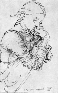 Agnes Frey, Wien Albertina — Albrecht Dürer, Nordische Renaissance