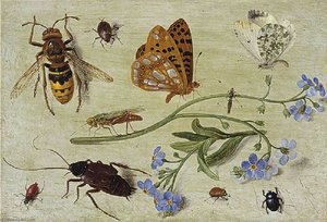 Insects — Jan Van Kessel The Elder