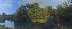 Hatfield Forest, Night And Day — Robert Priseman