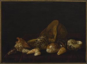 Seashells In A Purple Tapestry — Abraham Pietersz Van Calraet