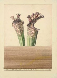 Les Trompettes De Lamort — Max Ernst