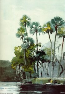 Homosassa River — Winslow Homer, American Realism