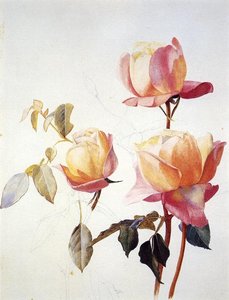 Florentine Roses — Henry Roderick Newman
