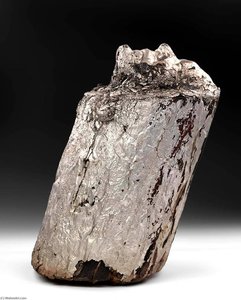 Untitled, Mask On Stump — Clarence Schmidt
