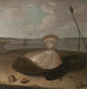 Turbot, Lobster And Sea Shells, In The Thames Estuary ( ) — Arthur William Devis, Northern Renaissance