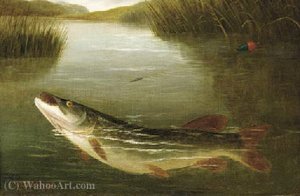 A Pike On A Line — A. Roland Knight