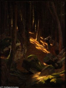 Twilight in a Forest