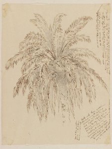 Top Of Palm Tree — Jasper Francis Cropsey