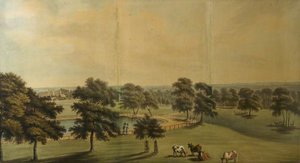 The Green Park