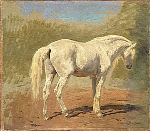Etude De Cheval Blanc — Bonheur Marie Rosalie