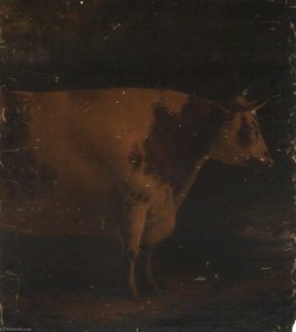 Shorthorn — William Shiels