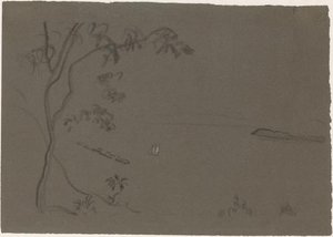 Chinese Landscape