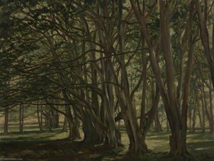 Beech Trees, Carmichael