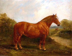 Matchet — John Duval