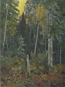 Sunset In The Bush — Franz Johnston