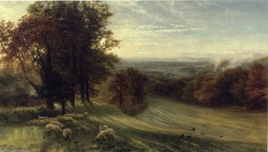 Autumn morning