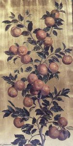 Oranges