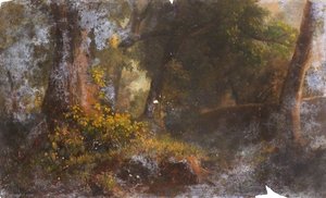 A Shady Forest — Thomas Stuart Smith