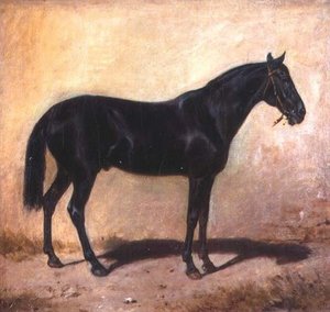 Horse — Josef Von Brandt