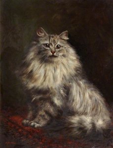 Study Of A Persian Cat — Agnes Augusta Talboys