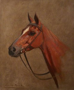 Study Of A Horse's Head — Edmond Brock