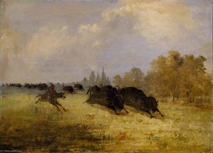 Caddo Indians Chasing Buffalo, Cross Timbers, Texas — George Catlin
