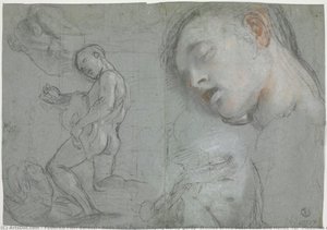 Nackte Männliche Figur Beim Spielen Einer Drehleier, Studien Seines Brustkorbs, Kopfes Und Der Hände (für „madonna Del Popolo“, Florenz, Galleria Degli Uffizi) — Federico Fiori Barocci, Barock
