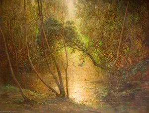 Woodland Waters