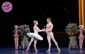 Cinderella — Andrew Ian Ross, Andrew Ross