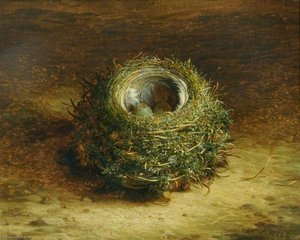 A Bird's Nest