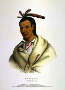 A-mis-quam, A Winnebago Brave — Charles Bird King