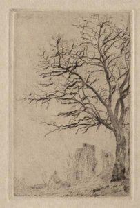 Acacia — James Ensor, Romanticism