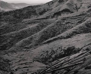 Replanting On Pumice And Ash Covered Slopes Above Smith Creek, 7 Miles East Of Mount St. Helens, Washington, 1983 — Frank Gohlke