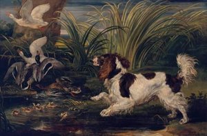 A Spaniel Frightening Ducks — James Ward