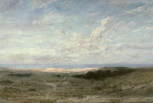Un jour d'été à la Grande Côte