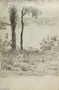 Palm Tree — John Ottis Adams